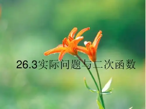 内蒙古化德县第三中学：26.3.1 实际问题与二次函数1 课件 (人教版九年级下册)