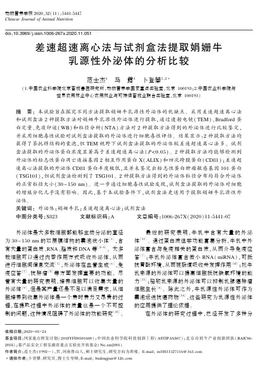 差速超速离心法与试剂盒法提取娟姗牛乳源性外泌体的分析比较
