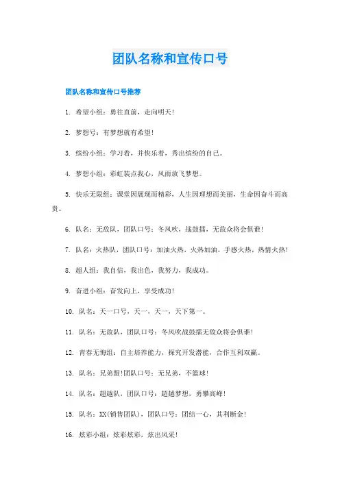 团队名称和宣传口号