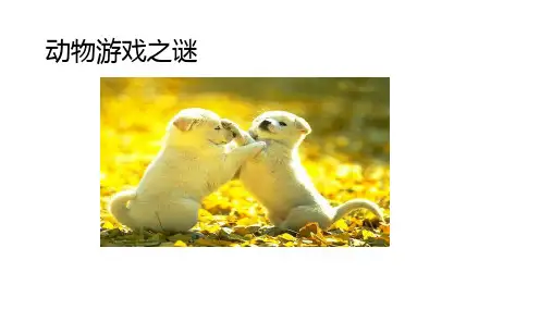 《动物游戏之谜》(课件)-【中职专用】高二语文同步精品课件(高教版2023职业模块)