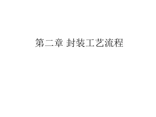 第二章 封装工艺流程