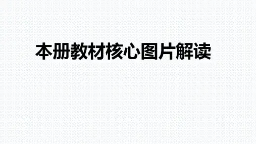 人教版九年级化学下册 教材核心图片解读课件(共54张PPT)