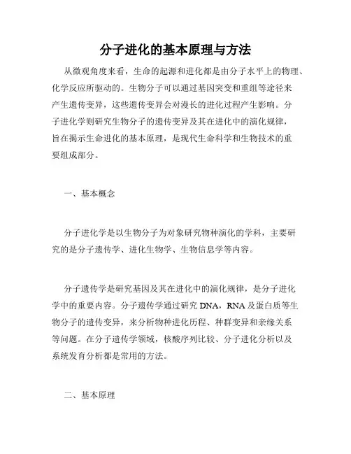 分子进化的基本原理与方法