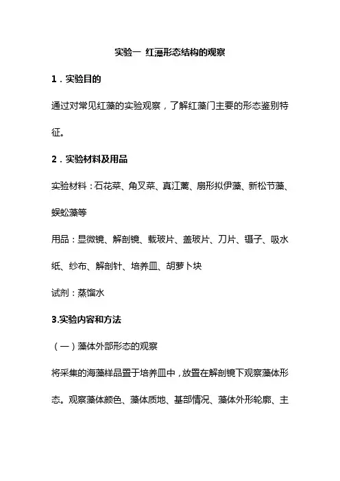 红藻