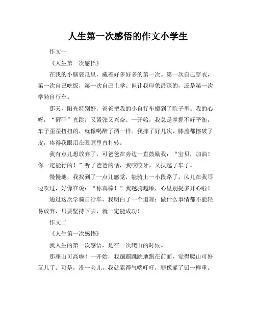 人生第一次感悟的作文小学生