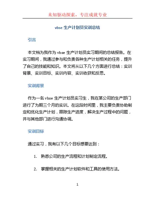 vbse生产计划员实训总结