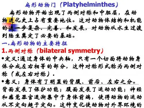 动物学 3扁形动物门(Platyhelminthes)
