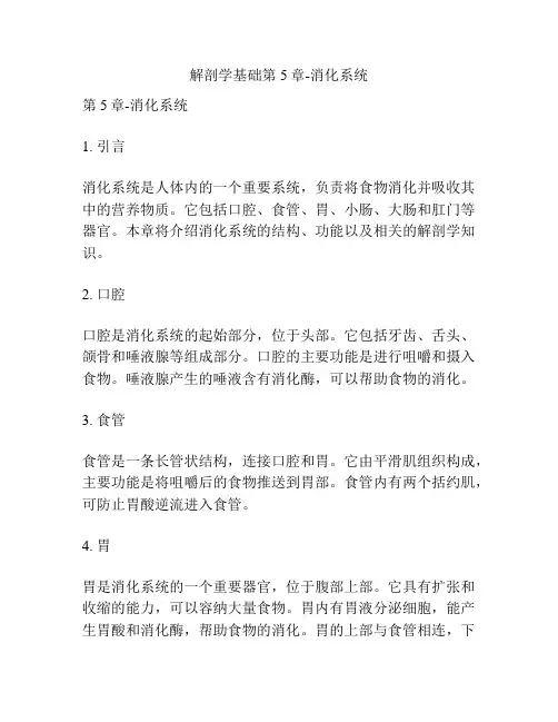 解剖学基础第5章-消化系统 