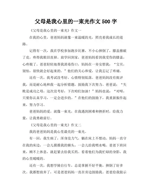 父母是我心里的一束光作文500字
