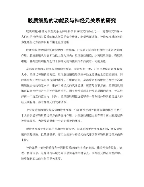 胶质细胞的功能及与神经元关系的研究