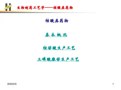 核酸类药物生产工艺