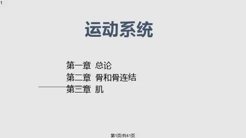 人体解剖学精PPT课件