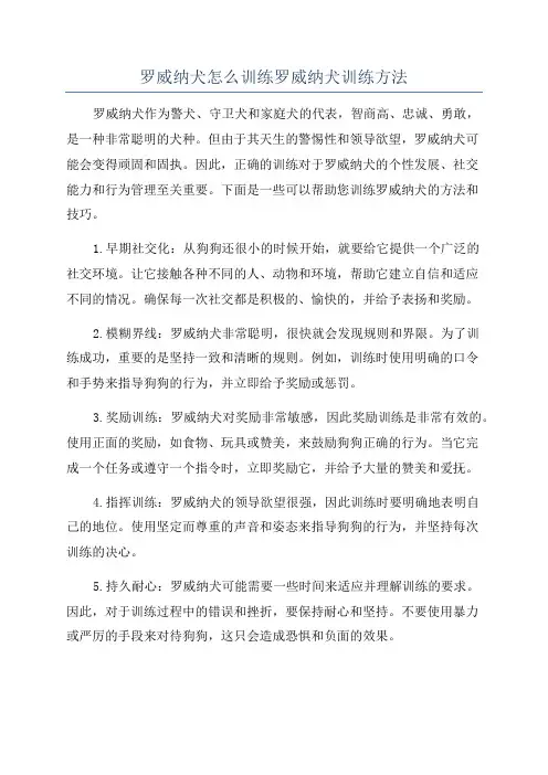罗威纳犬怎么训练罗威纳犬训练方法