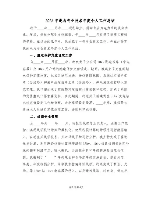 2024年电力专业技术年度个人工作总结（二篇）