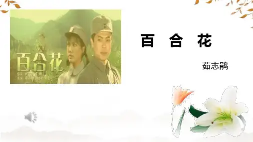 《百合花》ppt课件