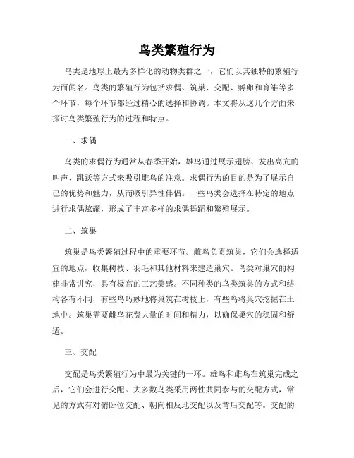 鸟类繁殖行为