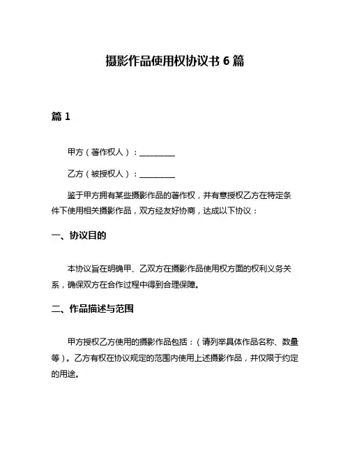 摄影作品使用权协议书6篇