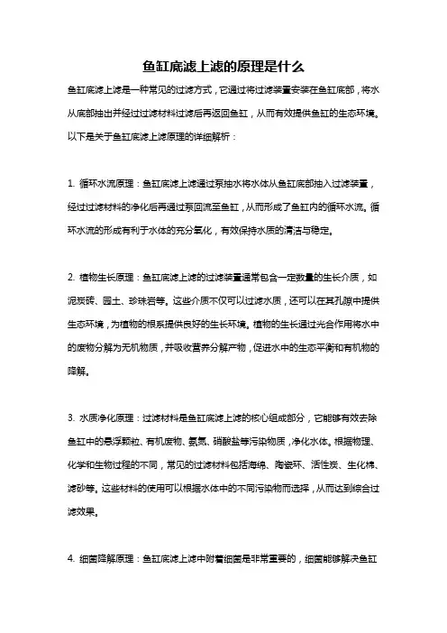 鱼缸底滤上滤的原理是什么