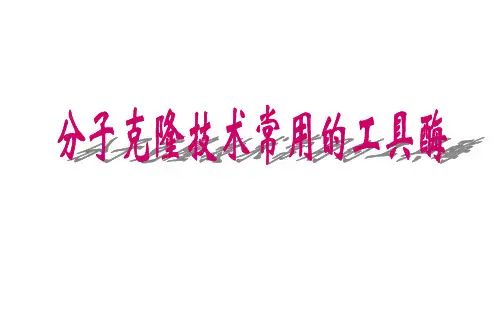 分子克隆技术常用的工具酶