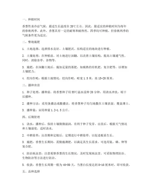 香葱种植技术及管理