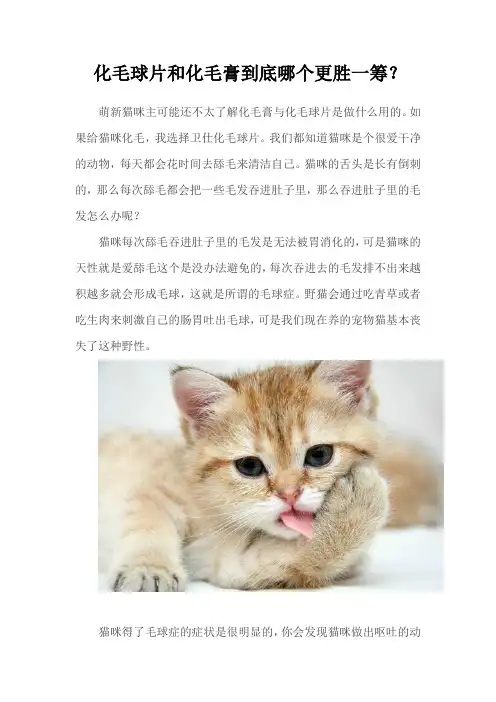 化毛球片和化毛膏到底那个更胜一筹？