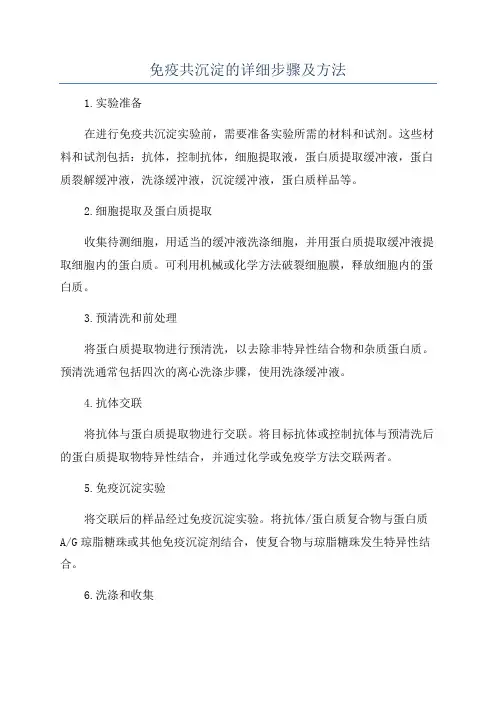 免疫共沉淀的详细步骤及方法