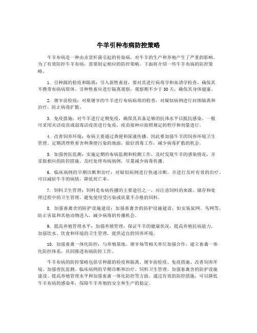 牛羊引种布病防控策略