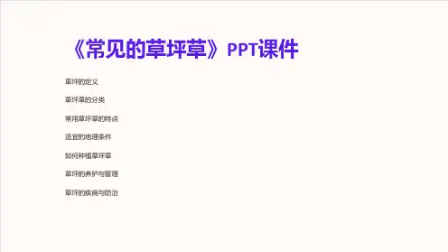 《常见的草坪草》课件