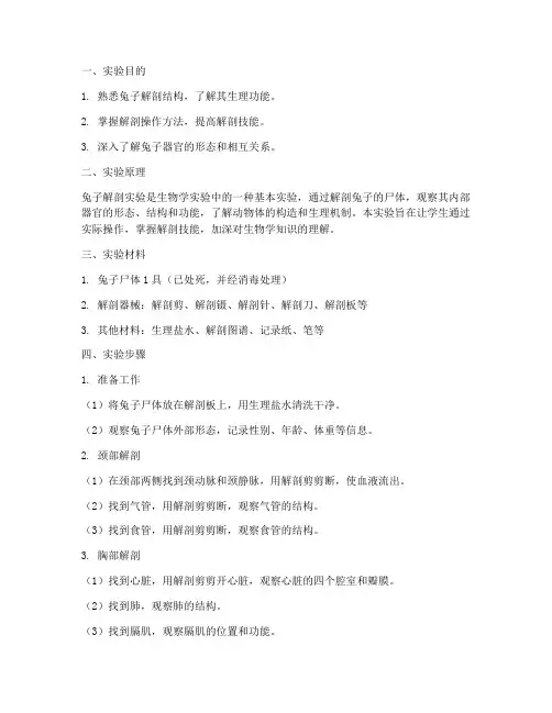 大兔子解剖实验报告