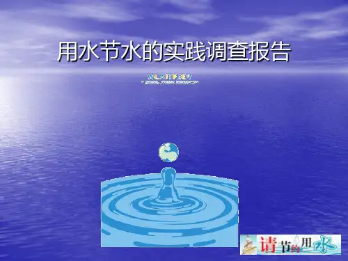 用水节水的实践调查报告PPT课件