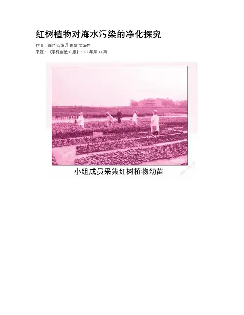 红树植物对海水污染的净化探究