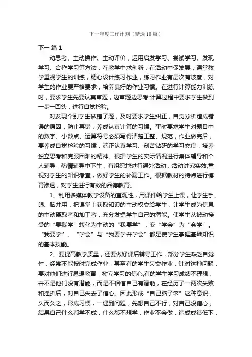 下一年度工作计划（精选10篇）