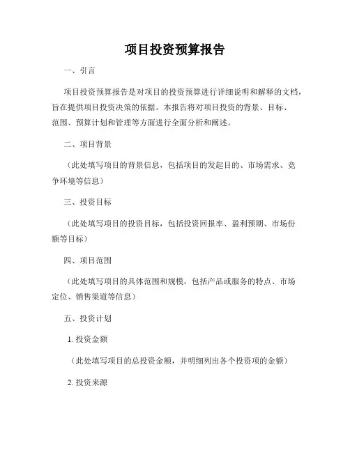 项目投资预算报告