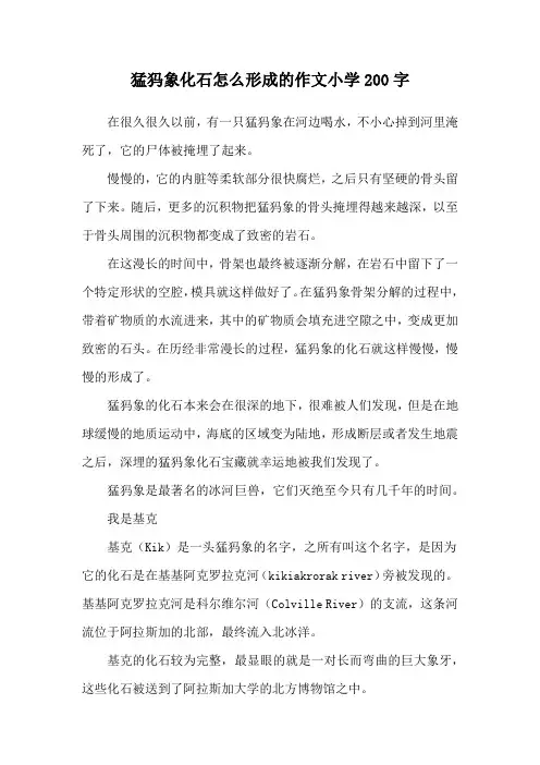 猛犸象化石怎么形成的作文小学200字