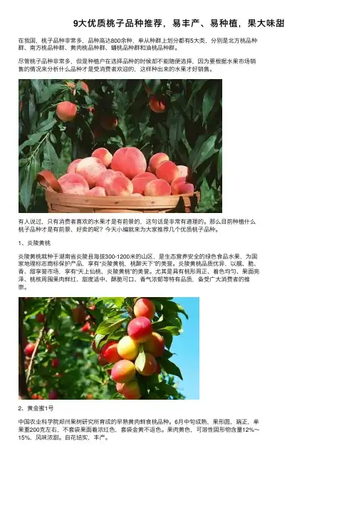9大优质桃子品种推荐，易丰产、易种植，果大味甜