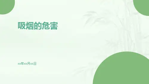 吸烟的危害PPTppt