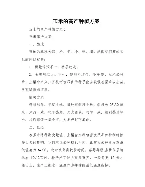 玉米的高产种植方案