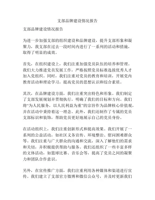 支部品牌建设情况报告