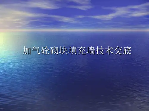 填充墙砌体技术交底和通病防治1
