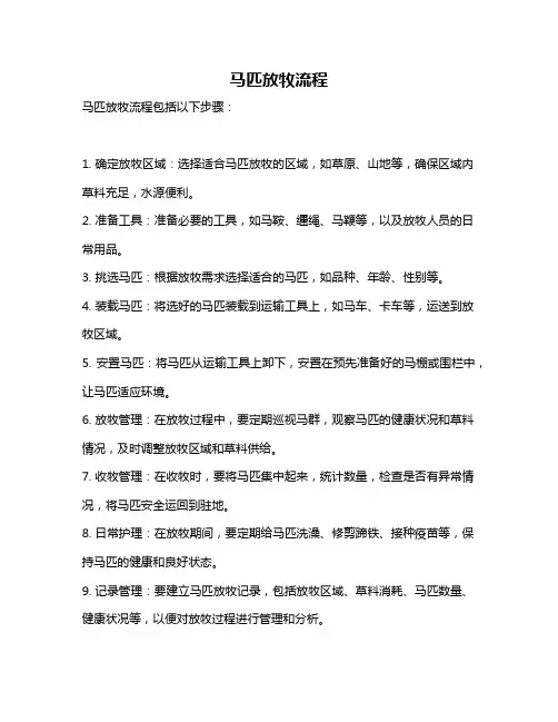 马匹放牧流程