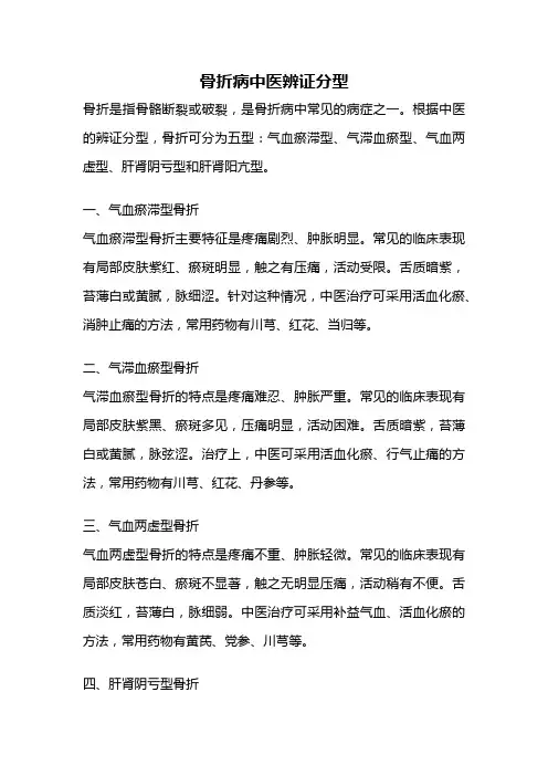 骨折病中医辨证分型