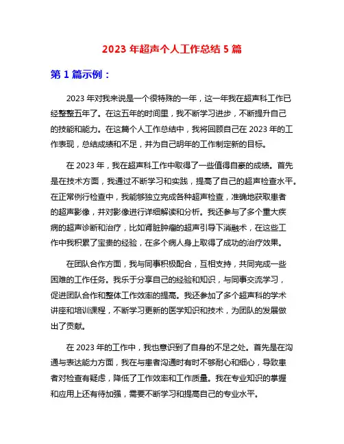 2023年超声个人工作总结5篇