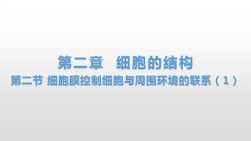 2.2 细胞膜控制细胞与周围环境的联系(1、2) 课件【新教材】浙科版(2019)高中生物必修一(共40张PPT)
