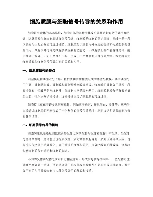 细胞质膜与细胞信号传导的关系和作用