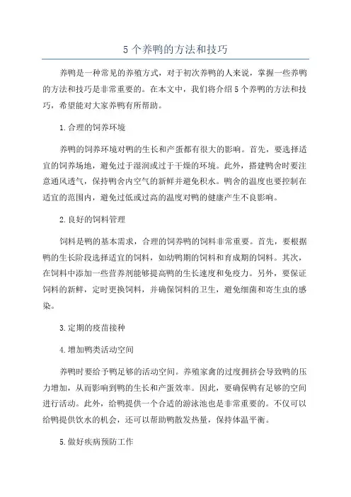 5个养鸭的方法和技巧