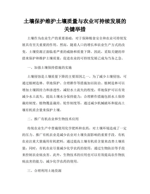 土壤保护维护土壤质量与农业可持续发展的关键举措