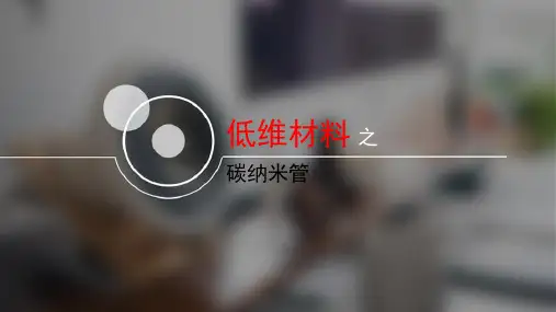低维材料之碳纳米管
