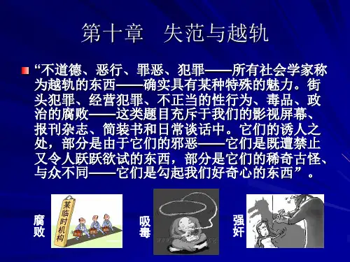 社会学 第十章   失范与越轨插图版