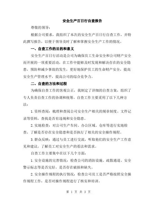 安全生产百日行自查报告