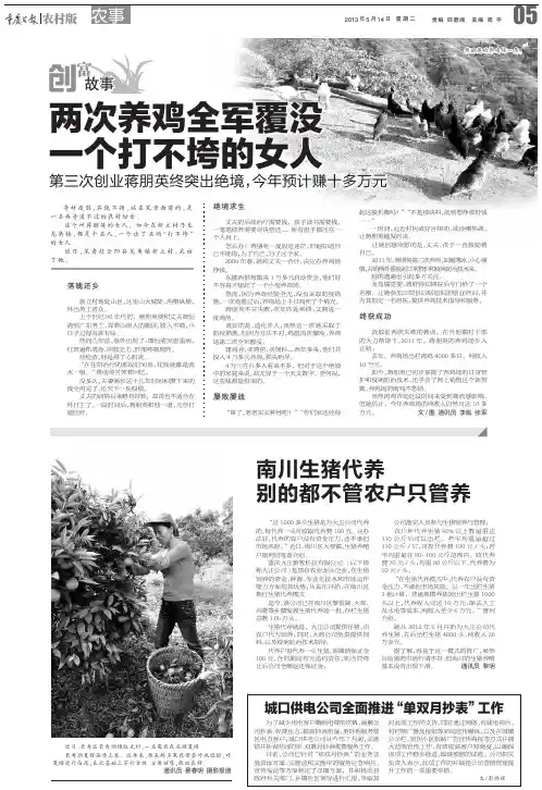 两次养鸡全军覆没 一个打不垮的女人